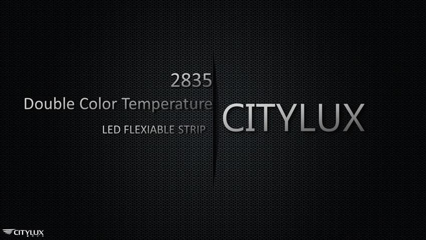 High performance-price ratio 2835 LED Flex Strip