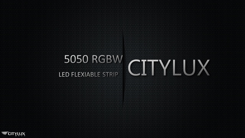 High quity 5050 RGBW LED Flex Strip