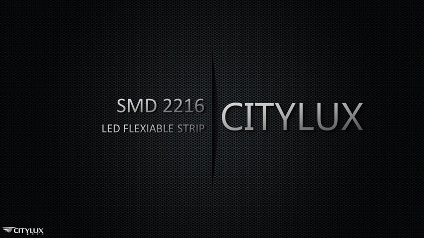Fine Workmanship SMD 2216 LED Flexible Strip