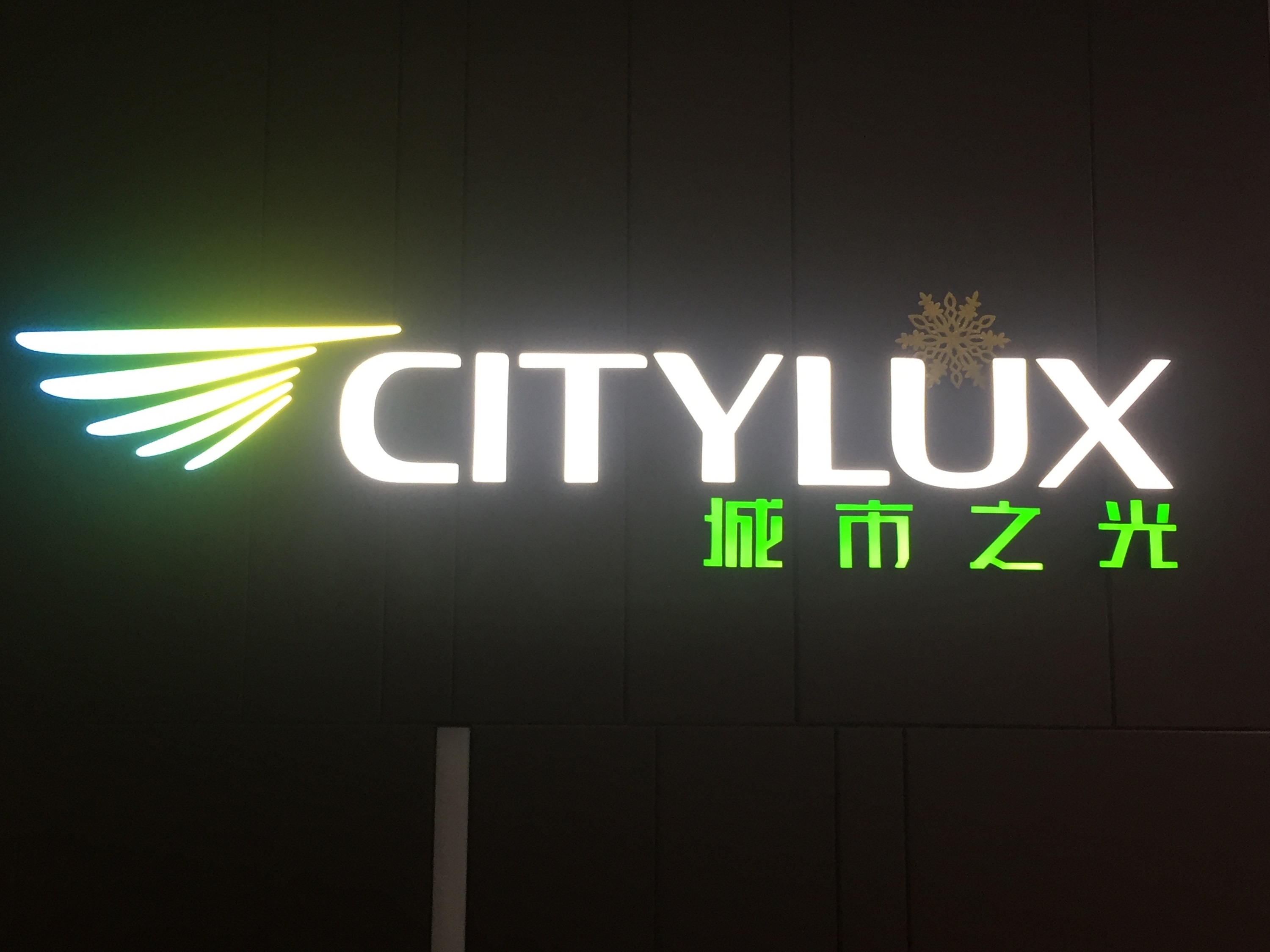 CITYLUX shared vision